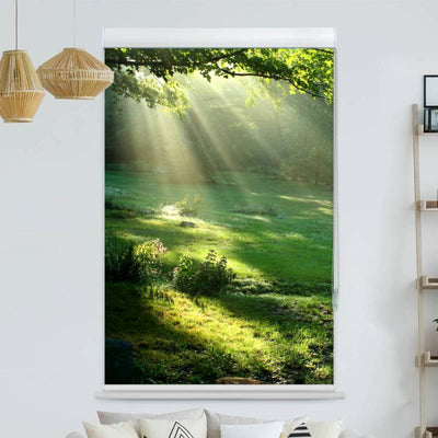 Kassettenrollo Motiv Lichtung im Wald