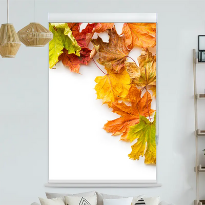 Kassettenrollo Motiv Herbstlaub | bis B 420 x H 420 cm