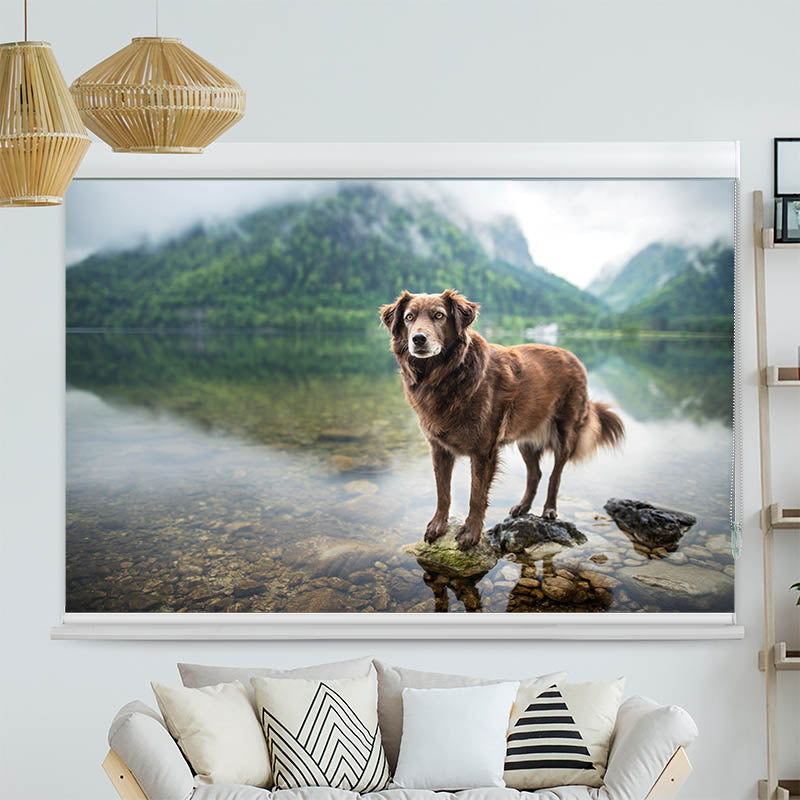 Kassettenrollo Motiv Hund am Bergsee