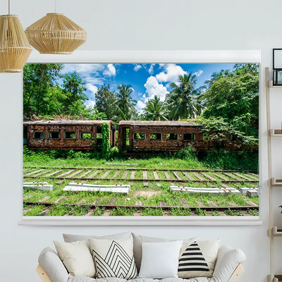 Kassettenrollo Motiv Alter Zug im Dschungel