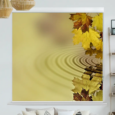 Kassettenrollo Motiv Herbstblaetter Im Wasser | bis B 420 x H 420 cm