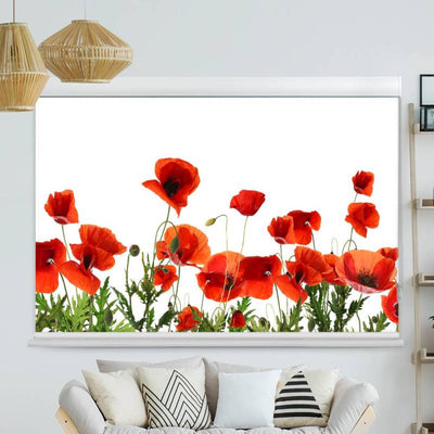 Kassettenrollo Motiv Mohnblumen Weisser Hintergrund