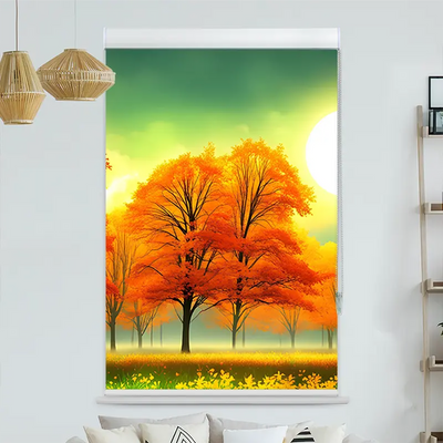 Kassettenrollo Motiv Herbstwald Sonnenschein | bis B 420 x H 420 cm