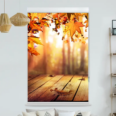 Kassettenrollo Motiv Holzsteg Herbstlaub | bis B 420 x H 420 cm