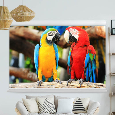 Kassettenrollo Motiv 'Papageien'