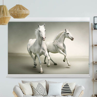 Kassettenrollo Motiv 'Pferde Schimmel'