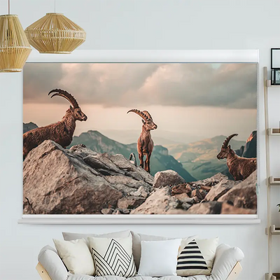 Kassettenrollo Motiv Steinböcke In Den Schweizer Alpen