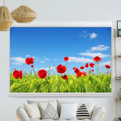 Kassettenrollo Motiv Mohnblumen Wiese