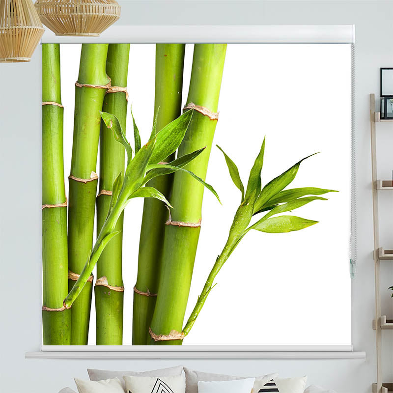 Kassettenrollo Motiv 'Bambus'