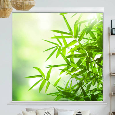 Kassettenrollo Motiv Bambus Strauch