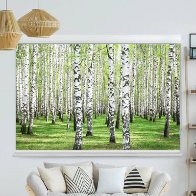 Kassettenrollo Motiv Birkenwald