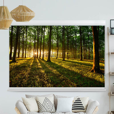 Kassettenrollo Motiv 'Sonnenstrahlen im Wald'