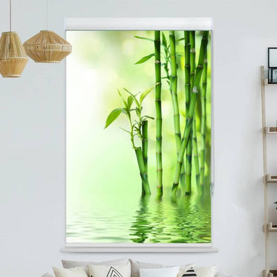 Kassettenrollo Motiv Bambus Wasser