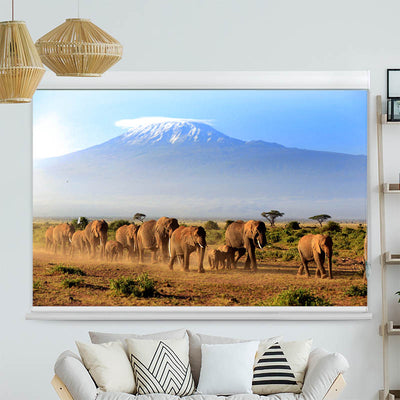Kassettenrollo Motiv 'Elefanten am Kilimandscharo'
