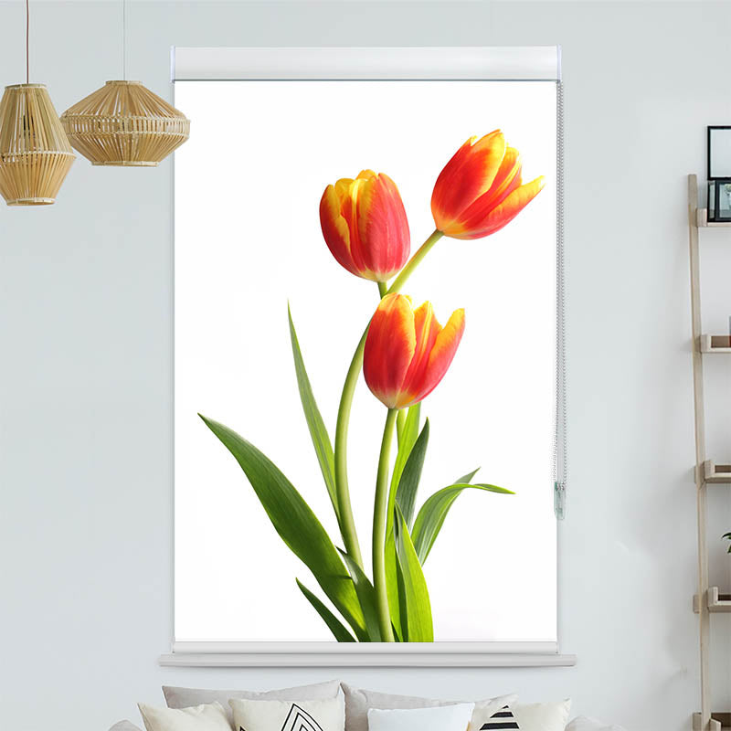 Kassettenrollo Motiv 'Tulpen'