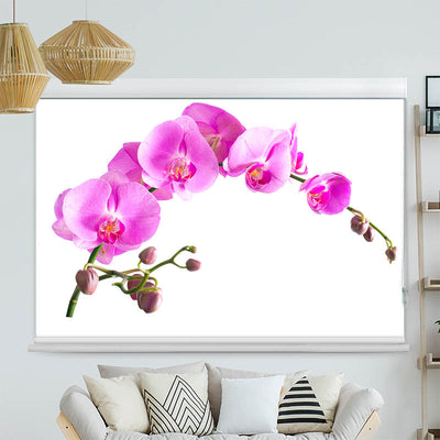 Kassettenrollo Motiv 'Orchidee'