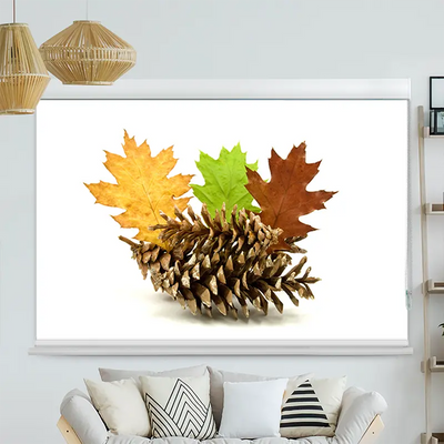 Kassettenrollo Motiv Herbstdekoration | bis B 420 x H 420 cm