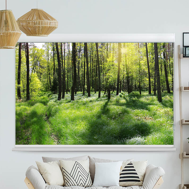 Kassettenrollo Motiv 'Wald Panorama'