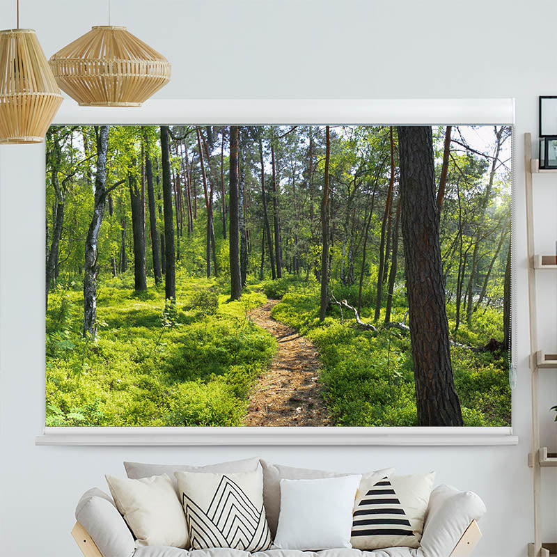 Kassettenrollo Motiv 'Wald Sonnenstrahlen Panorama'