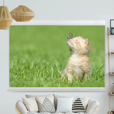Kassettenrollo Motiv Kitten und Schmetterling