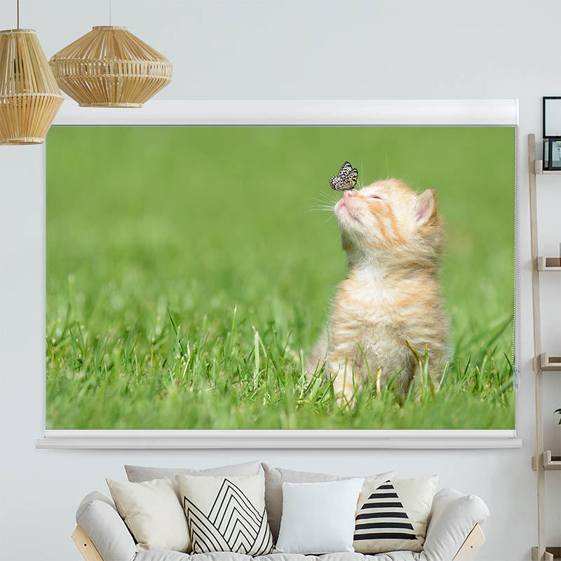 Kassettenrollo Motiv Kitten und Schmetterling