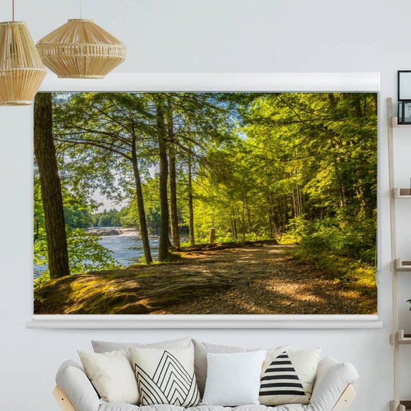 Kassettenrollo Motiv "Wald See" | bis B 420 x H 420 cm