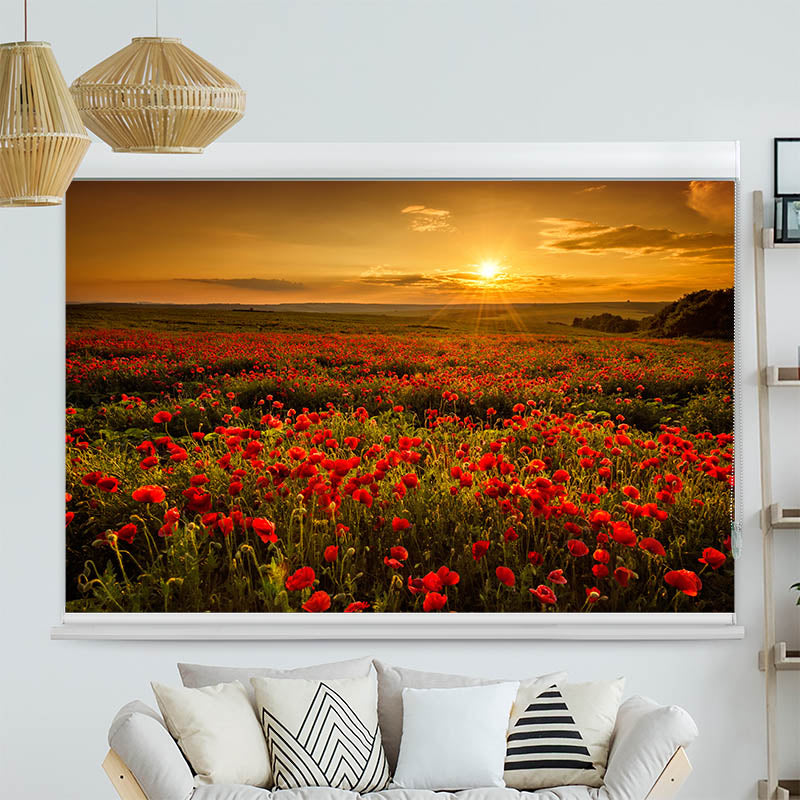 Kassettenrollo Motiv Mohnblumen Sonnenuntergang
