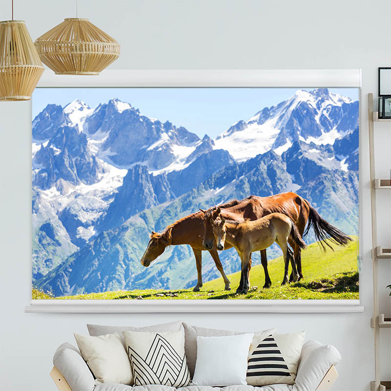 Kassettenrollo Motiv 'Pferde auf der Alm'