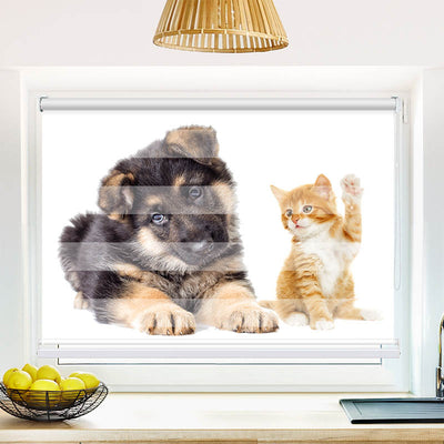 Fotorollo Welpe und Kitten