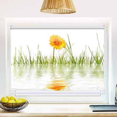 Klemmfix Doppelrollo Gras im Wasser | Klemm Doppelrollo