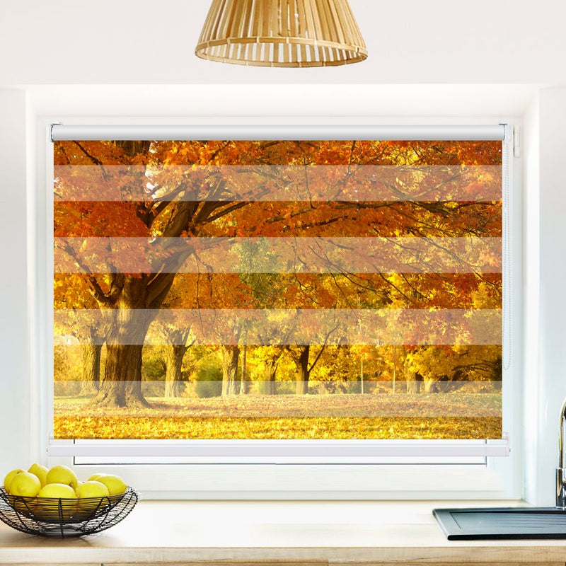 Klemm Doppelrollo "Allee Im Herbst" - ohne Bohren - Klemmfix - bis 150 cm Breite - Duo Rollo Fotodruck - La-Melle