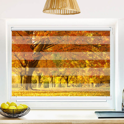 Fotorollo Allee im Herbst