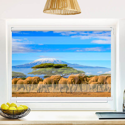 Fotorollo Elefanten am Kilimandscharo