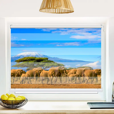 Klemm Doppelrollo Elefanten Am Kilimandscharo