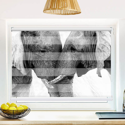 Fotorollo Afrika Lefanten