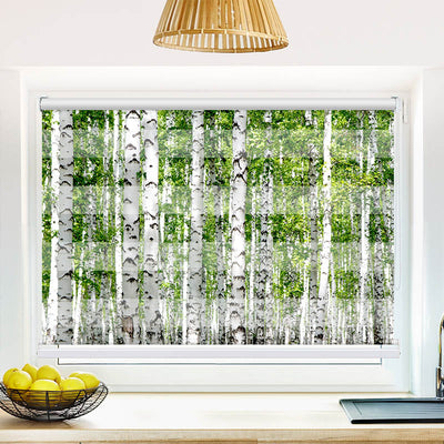 Fotorollo Birkenwald