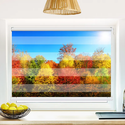 Klemmfix Doppelrollo 'Bunter Herbstwald' | Klemm Doppelrollo