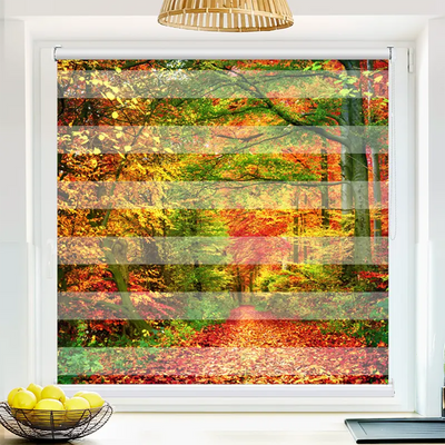 Klemmfix Doppelrollo 'Weg Im Herbstwald' | Klemm Doppelrollo