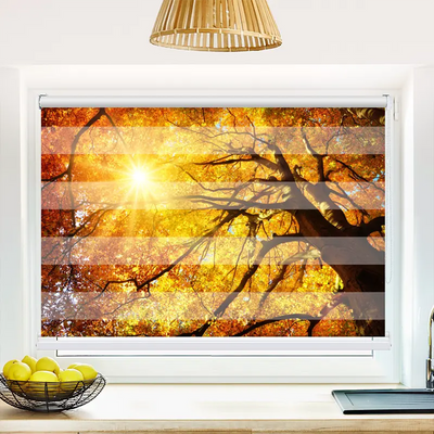 Klemmfix Doppelrollo 'Baumkrone Herbst Sonnenschein' | Klemm Doppelrollo
