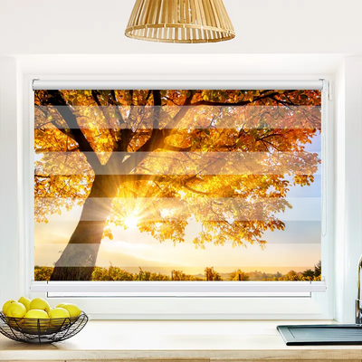 Klemmfix Doppelrollo 'Baum Herbst Sonnenschein' | Klemm Doppelrollo