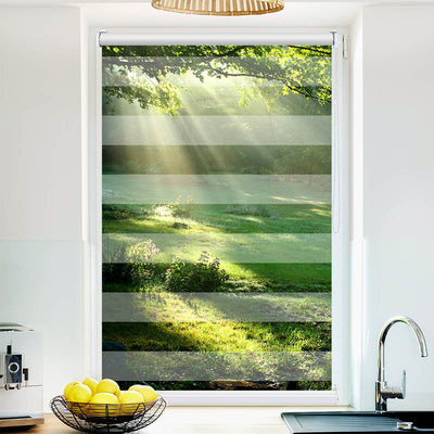 Fotorollo Lichtung im Wald