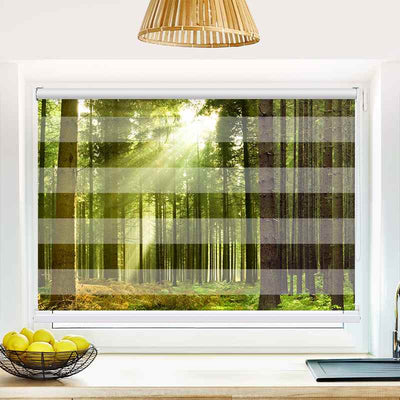 Klemmfix Doppelrollo Sonnenstrahlen im Wald Panorama | Klemm Doppelrollo