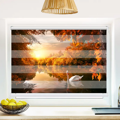 Klemm Doppelrollo Schwan auf Herbstteich