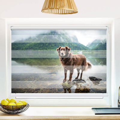 Fotorollo Hund am Bergsee