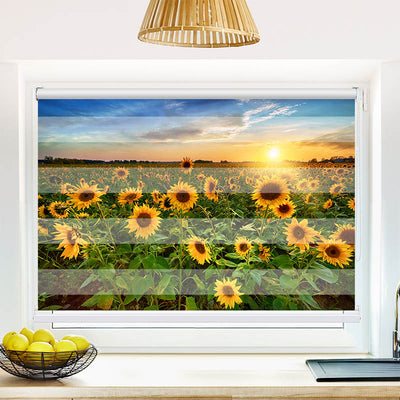 Fotorollo Sonnenblumenfeld Sonnenaufgang