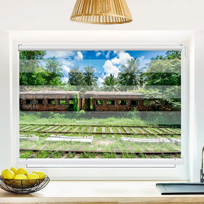 Klemm Doppelrollo Alter Zug Im Dschungel