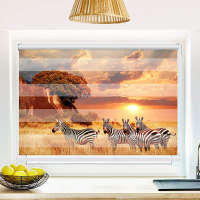 Fotorollo Zebras in Afrikas Savanne