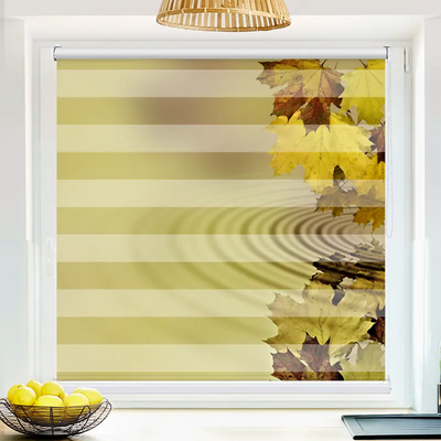 Klemmfix Doppelrollo 'Herbstblaetter Im Wasser' | Klemm Doppelrollo