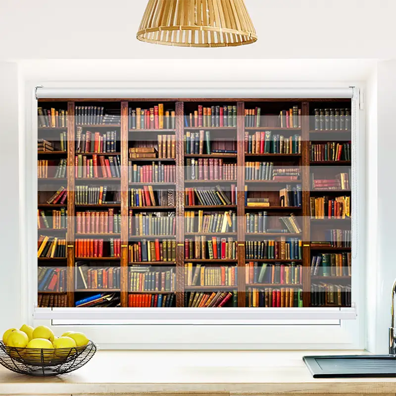 Klemm Doppelrollo Altes Bücherregal