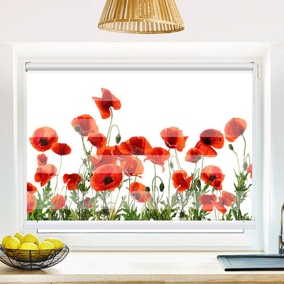 Fotorollo Mohnblumen Weisser Hintergrund